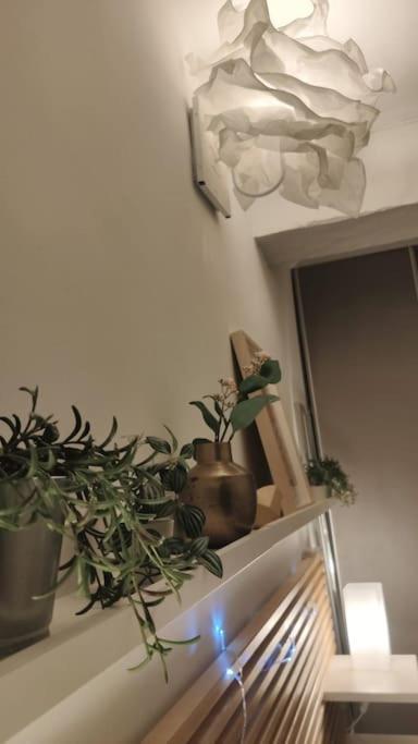 Appartement - Brando Extérieur photo
